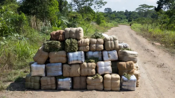 Fardos de maconha apreendidos em estrada rural de Monte Negro, Rondônia
