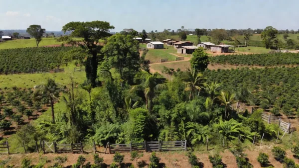 Área rural em Jaru e Governador Jorge Teixeira, Rondônia, com terras agrícolas