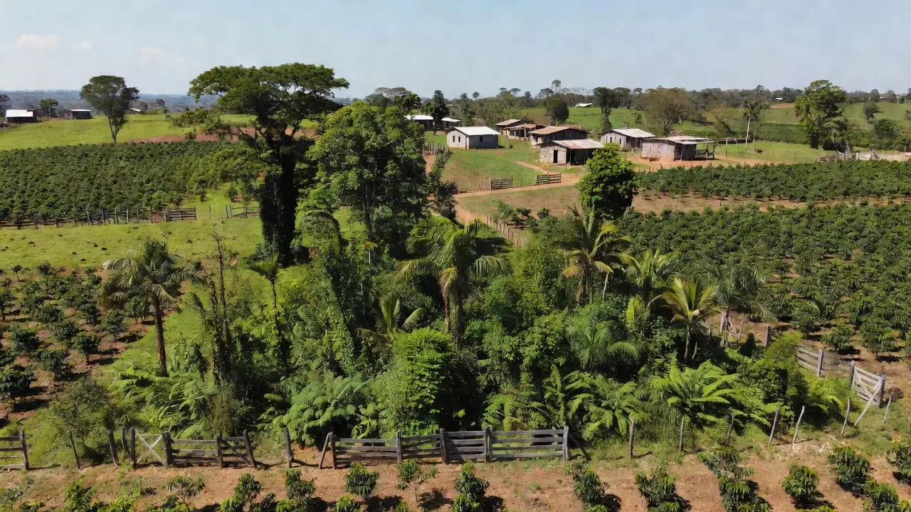 Área rural em Jaru e Governador Jorge Teixeira, Rondônia, com terras agrícolas