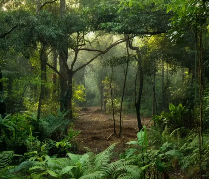 Foto reprodução