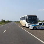 Apreensão de skunk pela PRF em ônibus na BR-364 em Vilhena