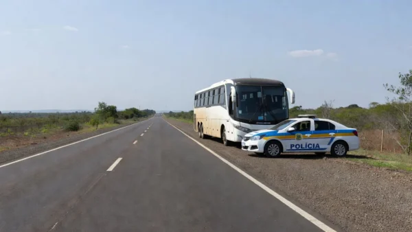 Apreensão de skunk pela PRF em ônibus na BR-364 em Vilhena