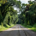 A Sub-região do Entorno da BR-319, nos estados do Amazonas e de Rondônia, foi incluída nesta quinta-feira (17) como área especial da Política Nacional de Desenvolvimento Regional (PNDR), durante a 10ª Reunião do Comitê Executivo da Câmara de Políticas de Integração Nacional e Desenvolvimento Regional.