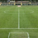 Reprodução IA