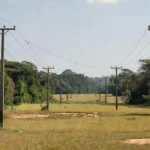 Rede elétrica em zona rural de Rondônia