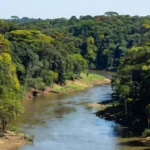Paisagem amazônica em Rondônia representando o turismo no estado