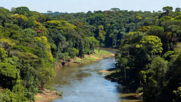 Paisagem amazônica em Rondônia representando o turismo no estado