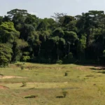 Paisagem rural em Rondônia com propriedades e vegetação amazônica