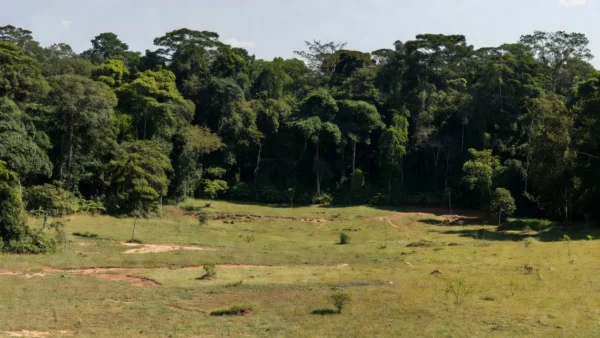 Paisagem rural em Rondônia com propriedades e vegetação amazônica
