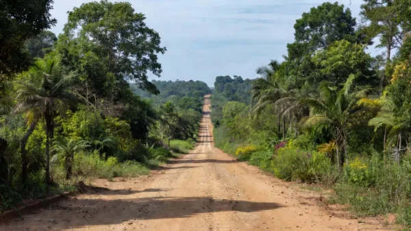 Paisagem rural de Buritis, Campo Novo, Mirante da Serra e Colorado do Oeste em Rondônia