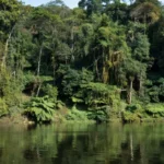Rio em Alta Floresta d'Oeste, Rondônia, local de afogamento