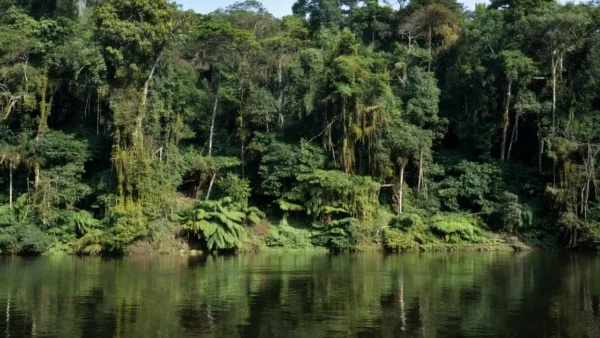 Rio em Alta Floresta d'Oeste, Rondônia, local de afogamento