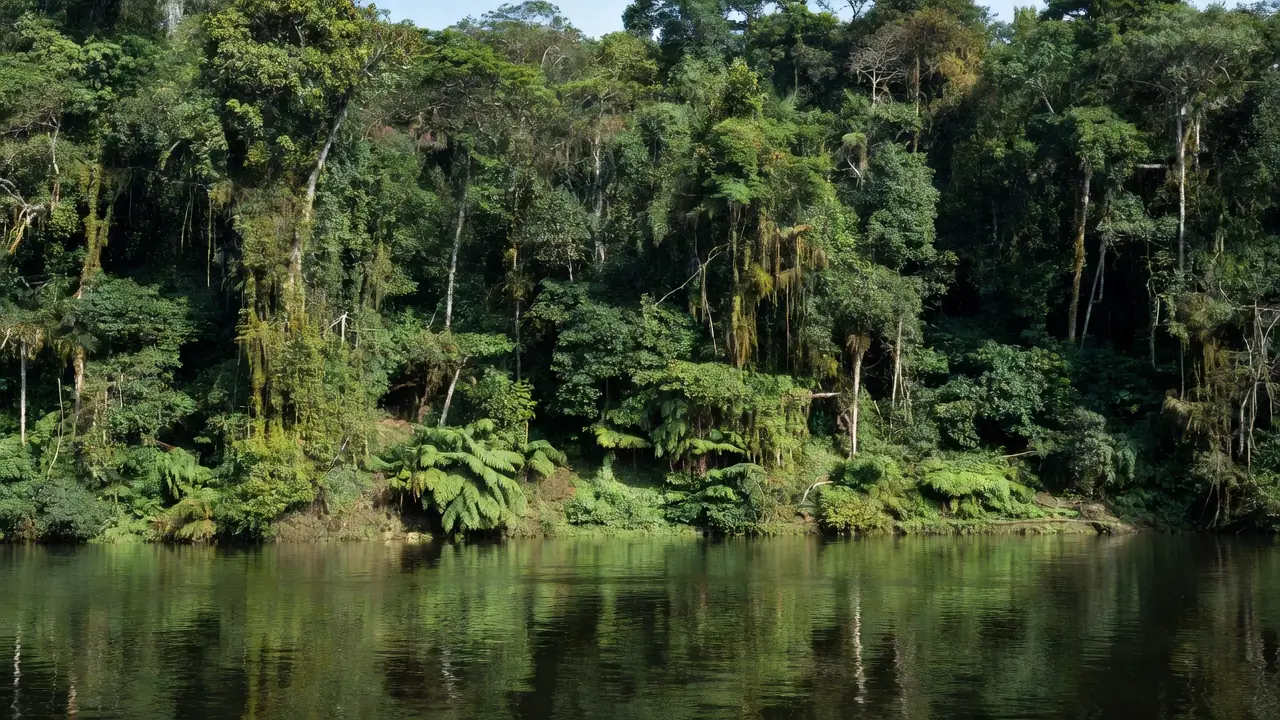 Rio em Alta Floresta d'Oeste, Rondônia, local de afogamento